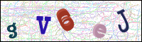 Weryfikacja obrazkowa