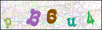 Weryfikacja obrazkowa